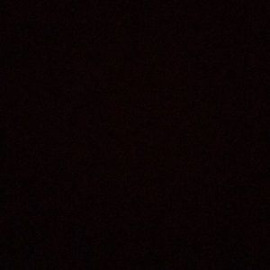 Meet your Posher, Precious